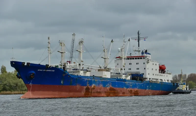 SEA REEFER General Cargo IMO 9175274 photo 10