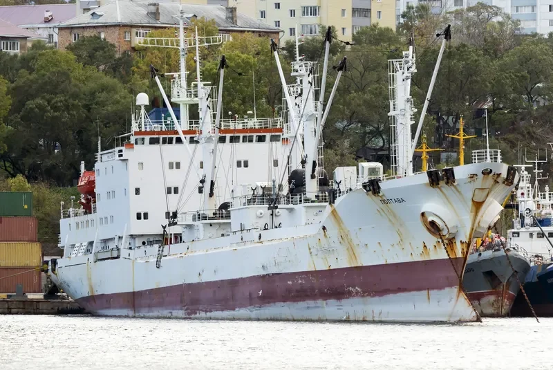 POLTAVA General Cargo IMO 9175286 photo 3