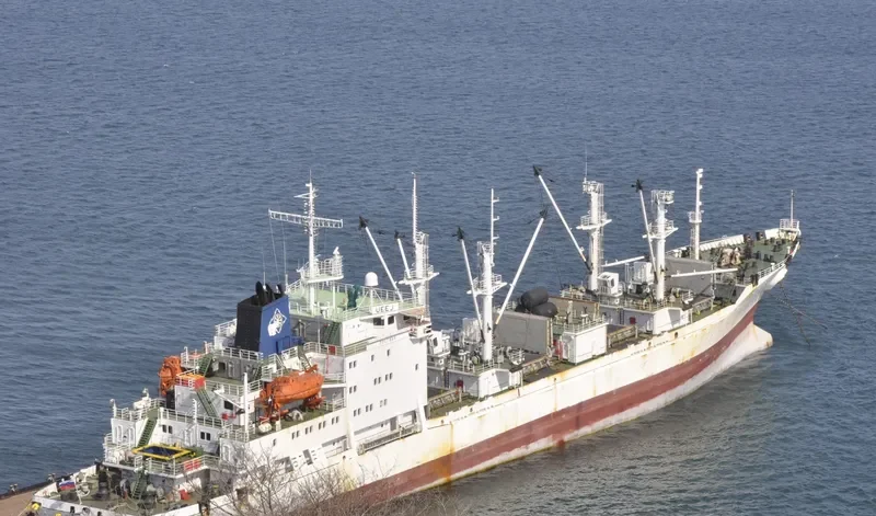 POLTAVA General Cargo IMO 9175286 photo 10