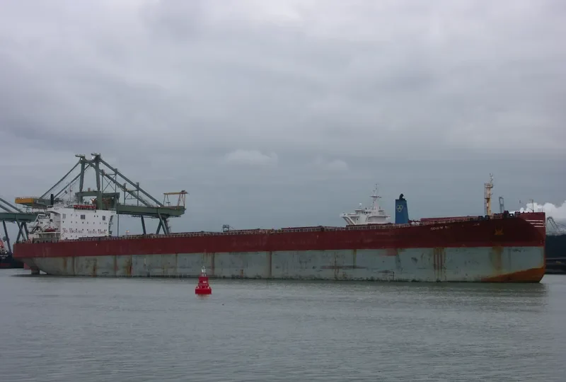 DONG JIANG XIANG Bulk Carrier IMO 9175315 photo 5