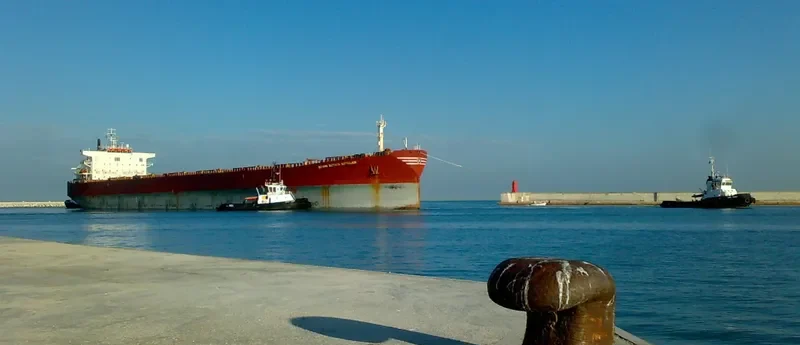 DONG JIANG XIANG Bulk Carrier IMO 9175315 photo 8