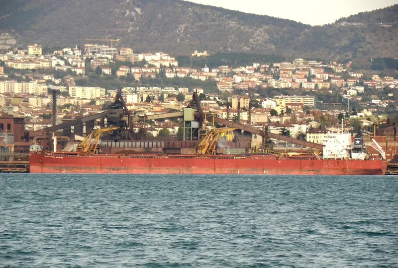 DONG JIANG XIANG Bulk Carrier IMO 9175315 photo 10