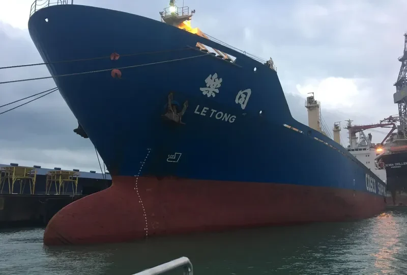 LE TONG General Cargo IMO 9175444