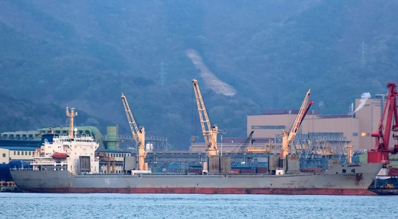 LE TONG General Cargo IMO 9175444 photo 7