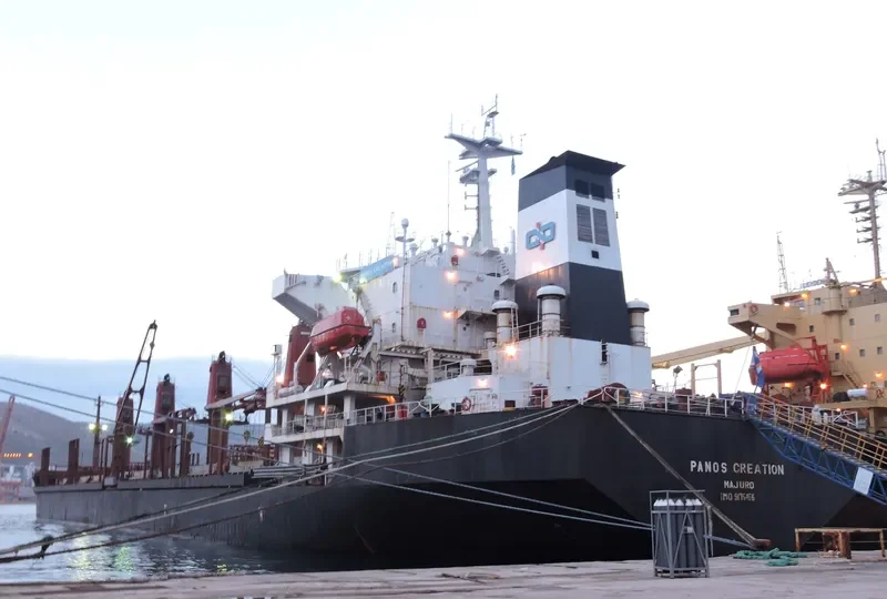 PANOS CREATION Bulk Carrier IMO 9175456 photo 3