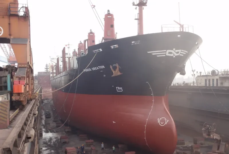 PANOS CREATION Bulk Carrier IMO 9175456 photo 5