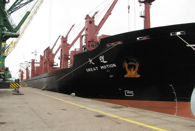 GREAT MOTION B Bulk Carrier IMO 9175468 photo 5