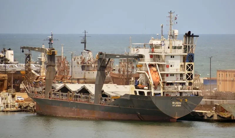 RUBIN S General Cargo IMO 9175585 photo 5