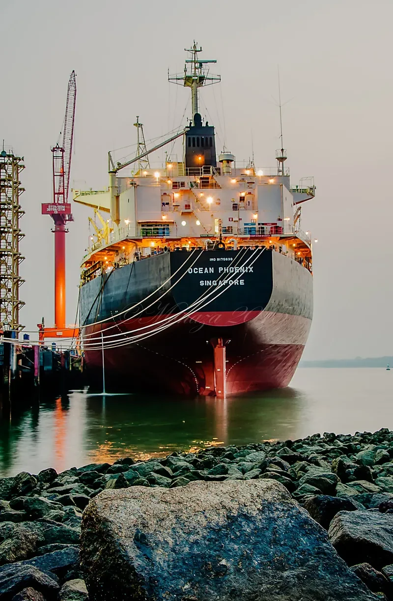 OCEAN PHOENIX Bulk Carrier IMO 9175638 photo 3