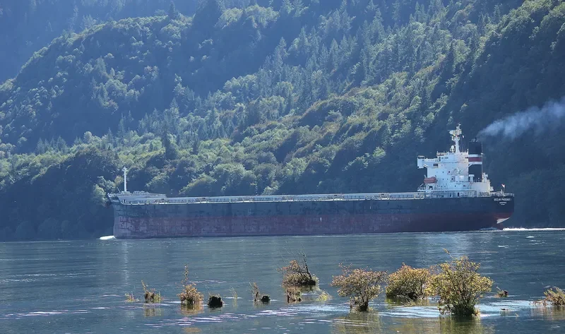 OCEAN PHOENIX Bulk Carrier IMO 9175638 photo 4