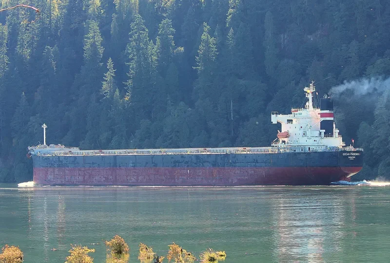 OCEAN PHOENIX Bulk Carrier IMO 9175638 photo 5