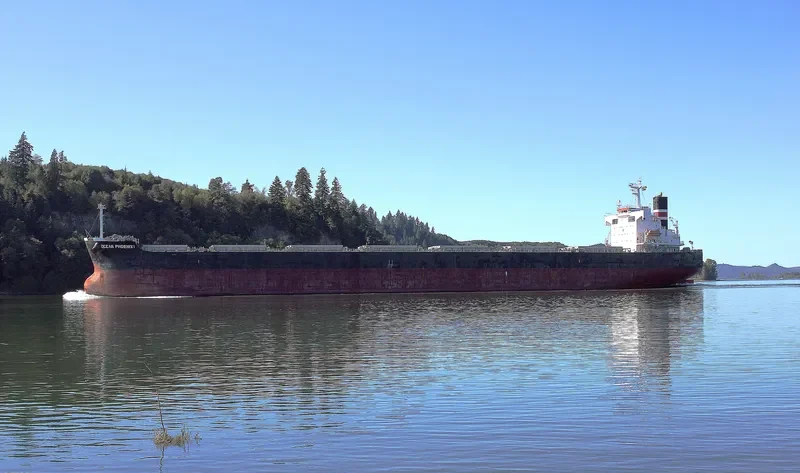 OCEAN PHOENIX Bulk Carrier IMO 9175638 photo 6