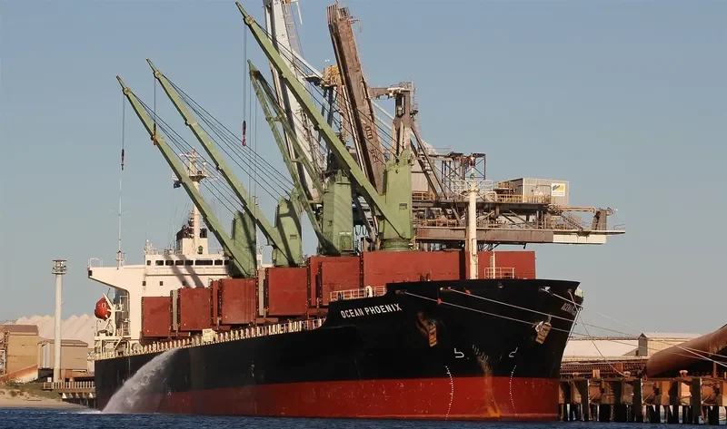 OCEAN PHOENIX Bulk Carrier IMO 9175638 photo 7