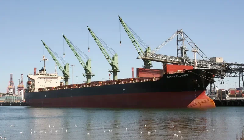 OCEAN PHOENIX Bulk Carrier IMO 9175638 photo 8