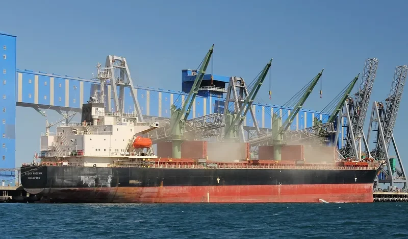 OCEAN PHOENIX Bulk Carrier IMO 9175638 photo 9