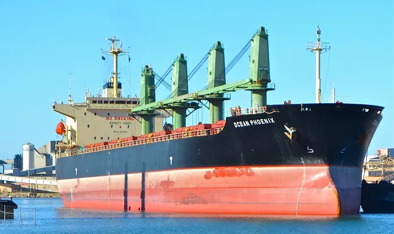 OCEAN PHOENIX Bulk Carrier IMO 9175638 photo 10
