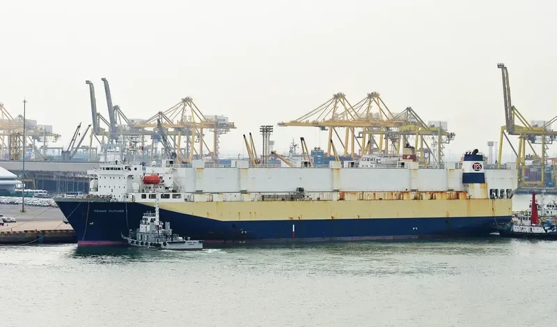 TRANS FUTURE 1 General Cargo IMO 9176216