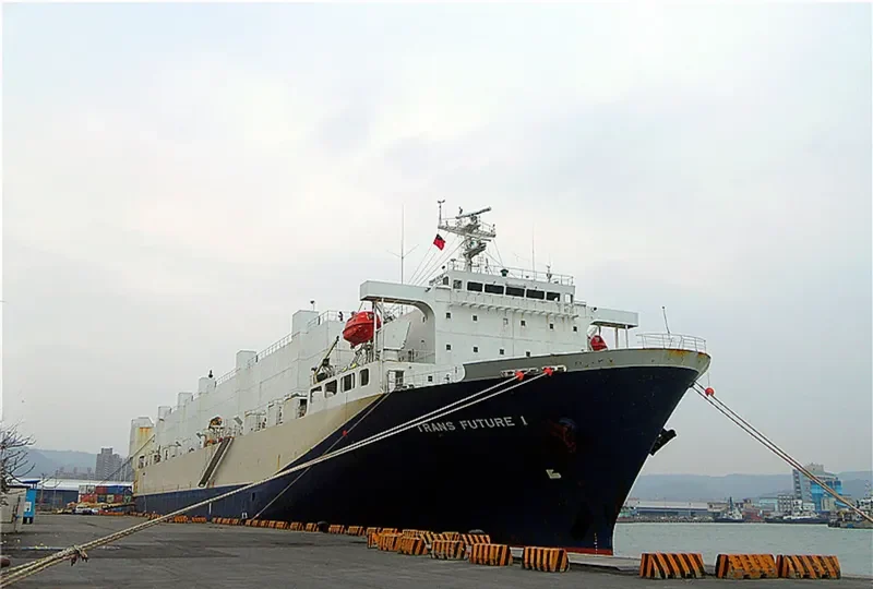 TRANS FUTURE 1 General Cargo IMO 9176216 photo 6
