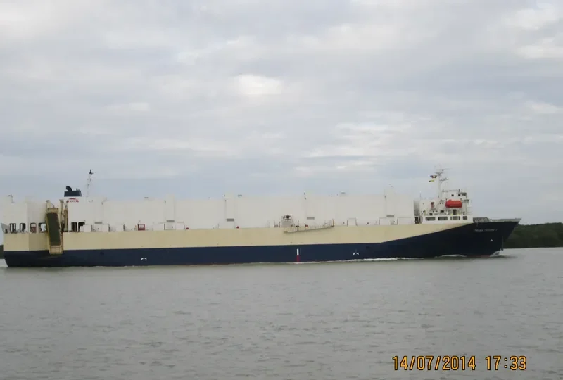 TRANS FUTURE 1 General Cargo IMO 9176216 photo 7