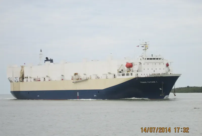 TRANS FUTURE 1 General Cargo IMO 9176216 photo 9
