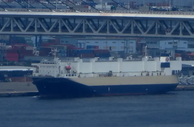 TRANS FUTURE 1 General Cargo IMO 9176216 photo 10