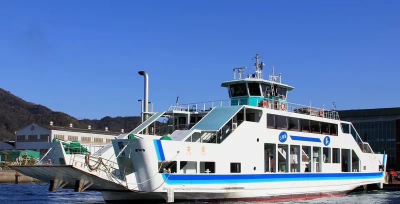 FURUTAKA Passenger Ship IMO 9176242 photo 3