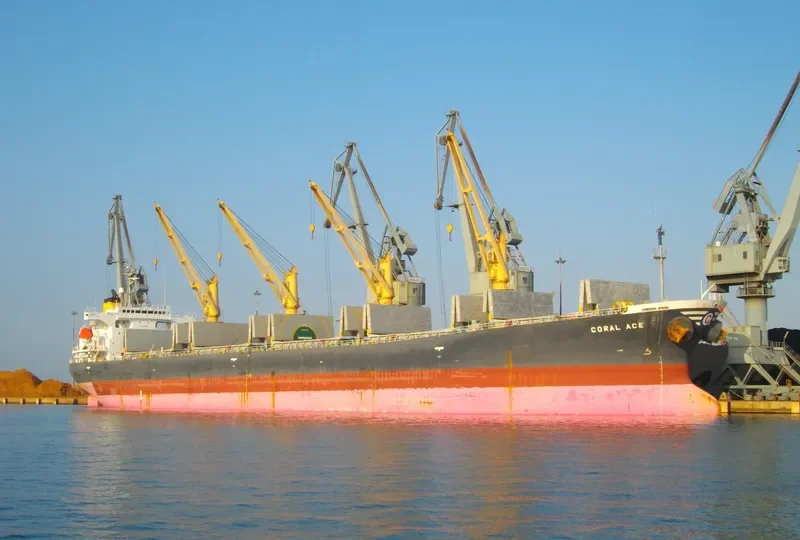 CORAL ACE Bulk Carrier IMO 9176266 photo 3
