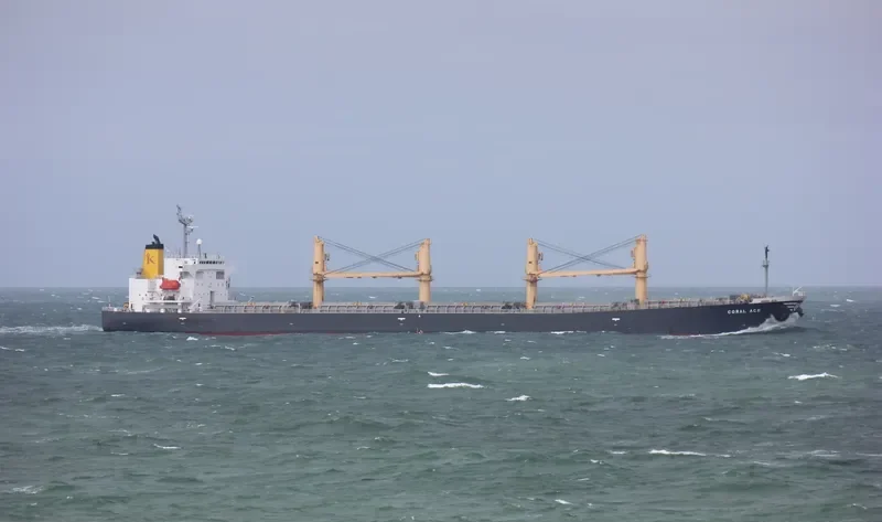 CORAL ACE Bulk Carrier IMO 9176266 photo 6