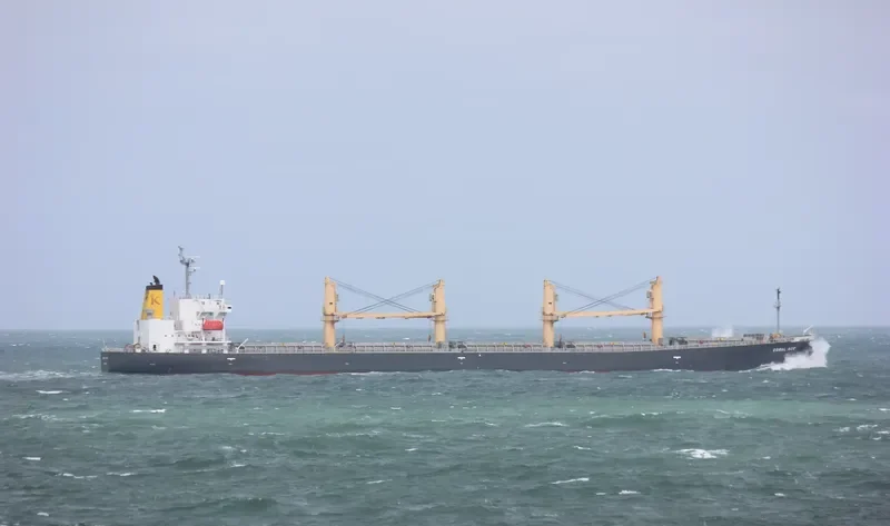 CORAL ACE Bulk Carrier IMO 9176266 photo 7