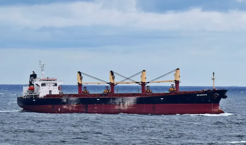 SPARROW Bulk Carrier IMO 9176278 photo 2