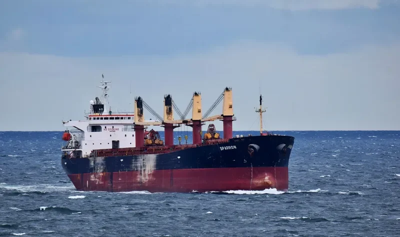 SPARROW Bulk Carrier IMO 9176278 photo 3