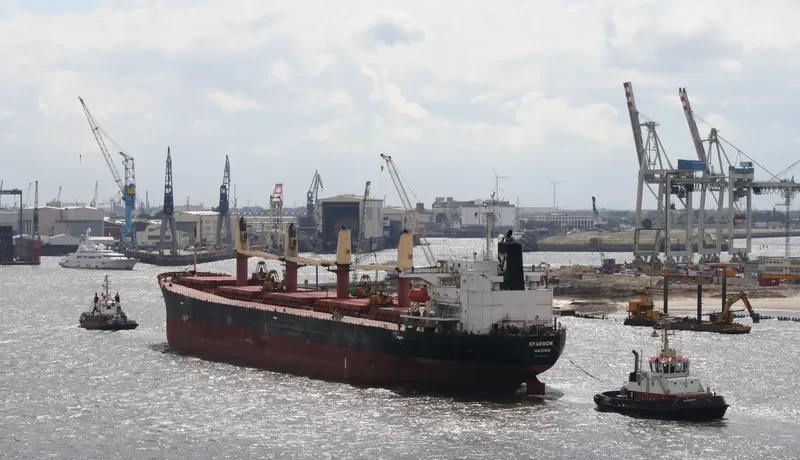 SPARROW Bulk Carrier IMO 9176278 photo 5
