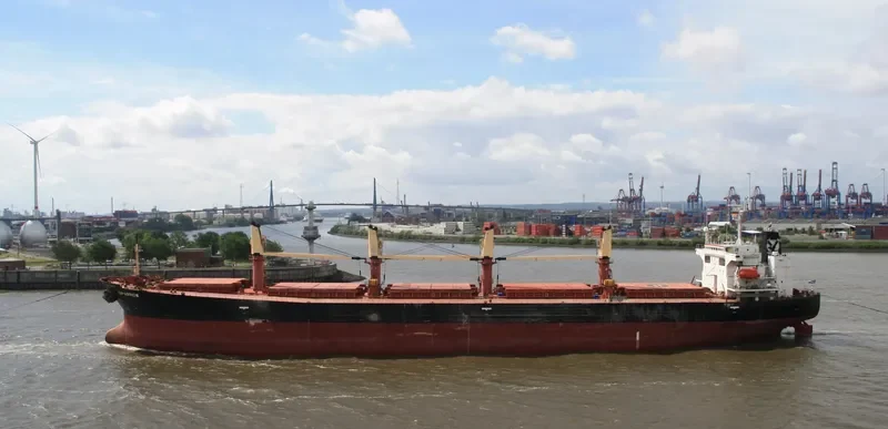 SPARROW Bulk Carrier IMO 9176278 photo 7
