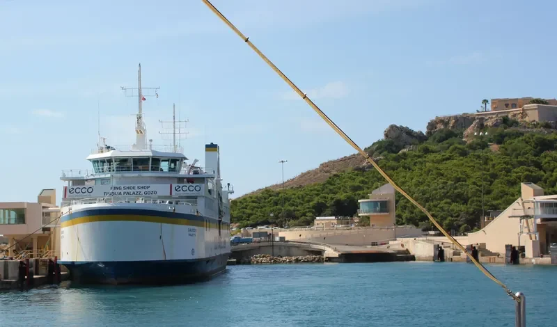 GAUDOS Ro-Ro IMO 9176319 photo 8
