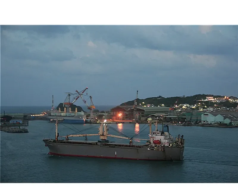 LILY OF SEA General Cargo IMO 9176383