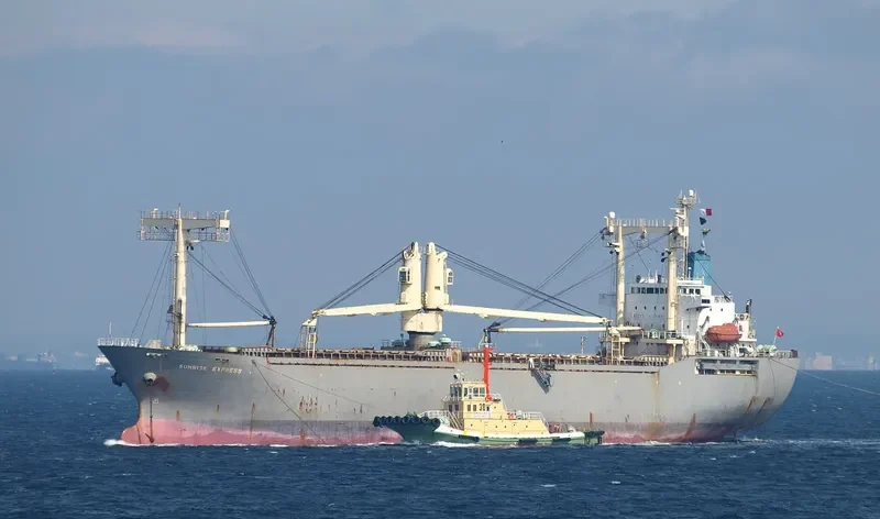 LILY OF SEA General Cargo IMO 9176383 photo 10