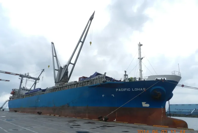 PACIFIC LOHAS General Cargo IMO 9176450