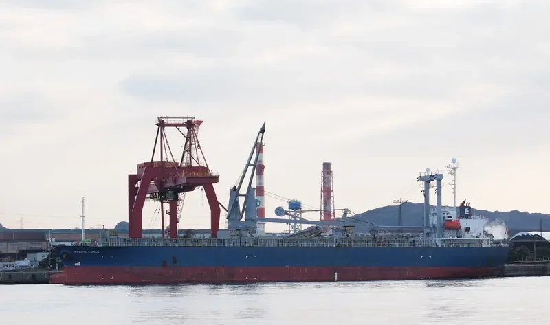 PACIFIC LOHAS General Cargo IMO 9176450 photo 2