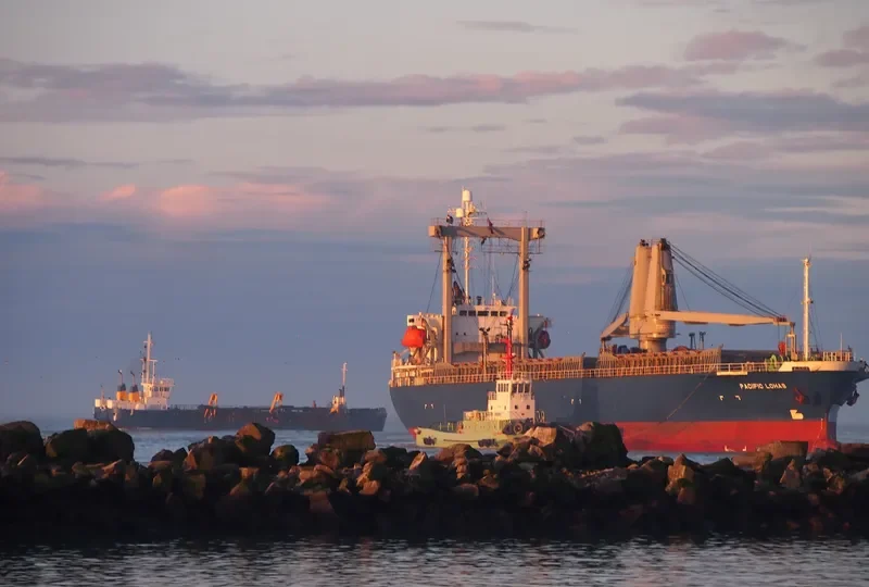 PACIFIC LOHAS General Cargo IMO 9176450 photo 4