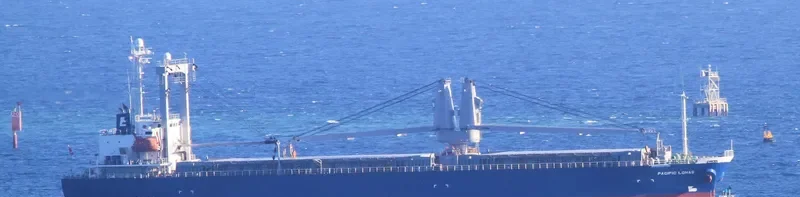 PACIFIC LOHAS General Cargo IMO 9176450 photo 7