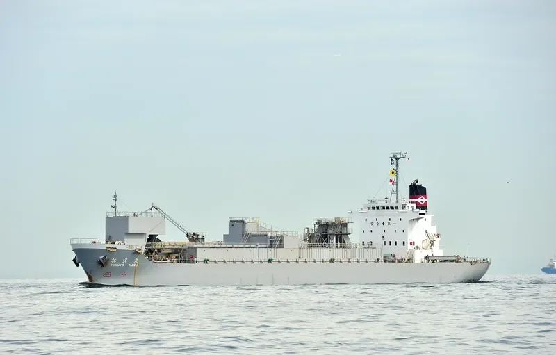 TAKUYO MARU Bulk Carrier IMO 9176498 photo 4
