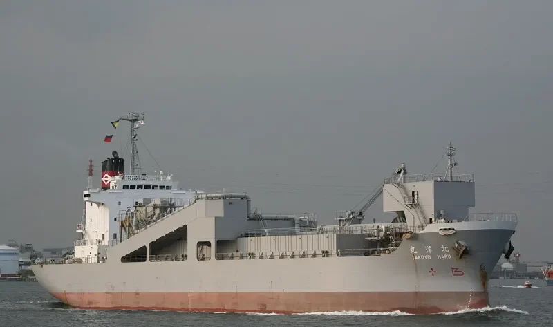 TAKUYO MARU Bulk Carrier IMO 9176498 photo 6