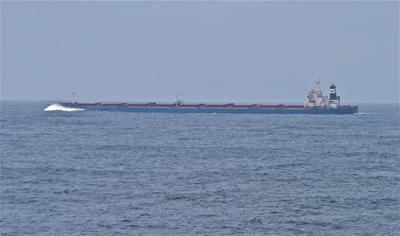 ANANGEL ETERNITY Bulk Carrier IMO 9176644 photo 7