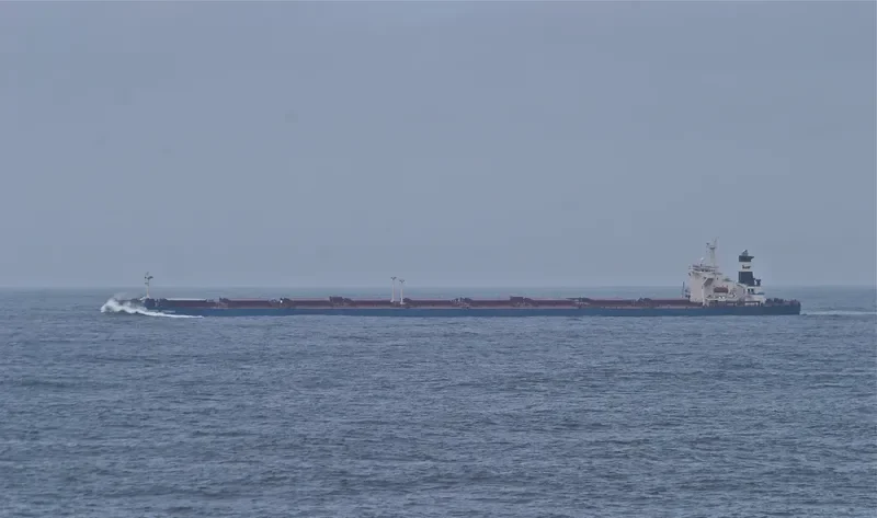 ANANGEL ETERNITY Bulk Carrier IMO 9176644 photo 8