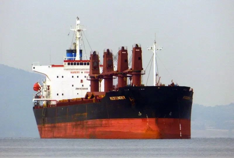 CHANG YAO HAI Bulk Carrier IMO 9176668 photo 2