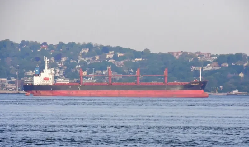 CHANG YAO HAI Bulk Carrier IMO 9176668 photo 3