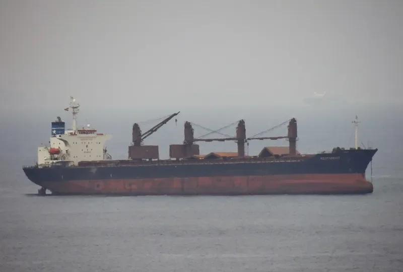 CHANG YAO HAI Bulk Carrier IMO 9176668 photo 4