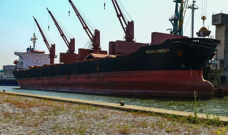 CHANG YAO HAI Bulk Carrier IMO 9176668 photo 5