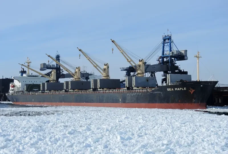 SEA MAPLE Bulk Carrier IMO 9176670 photo 2