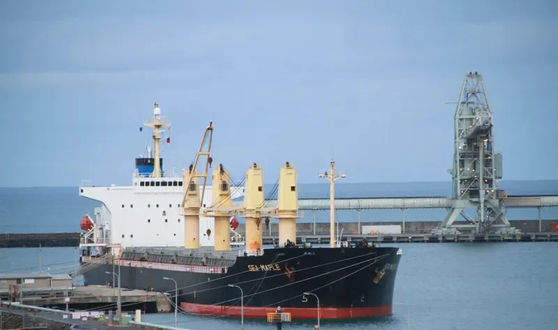 SEA MAPLE Bulk Carrier IMO 9176670 photo 5